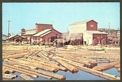 Boise Cascade Lumber